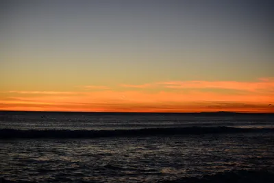 DSC_1310 (Large).JPG